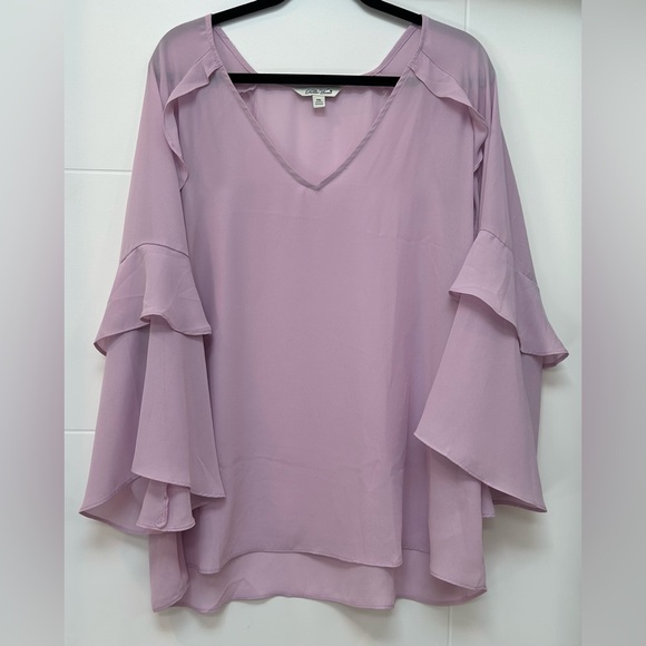 The Pioneer Woman Tops - The Pioneer Woman Light Pink Blouse XXL
